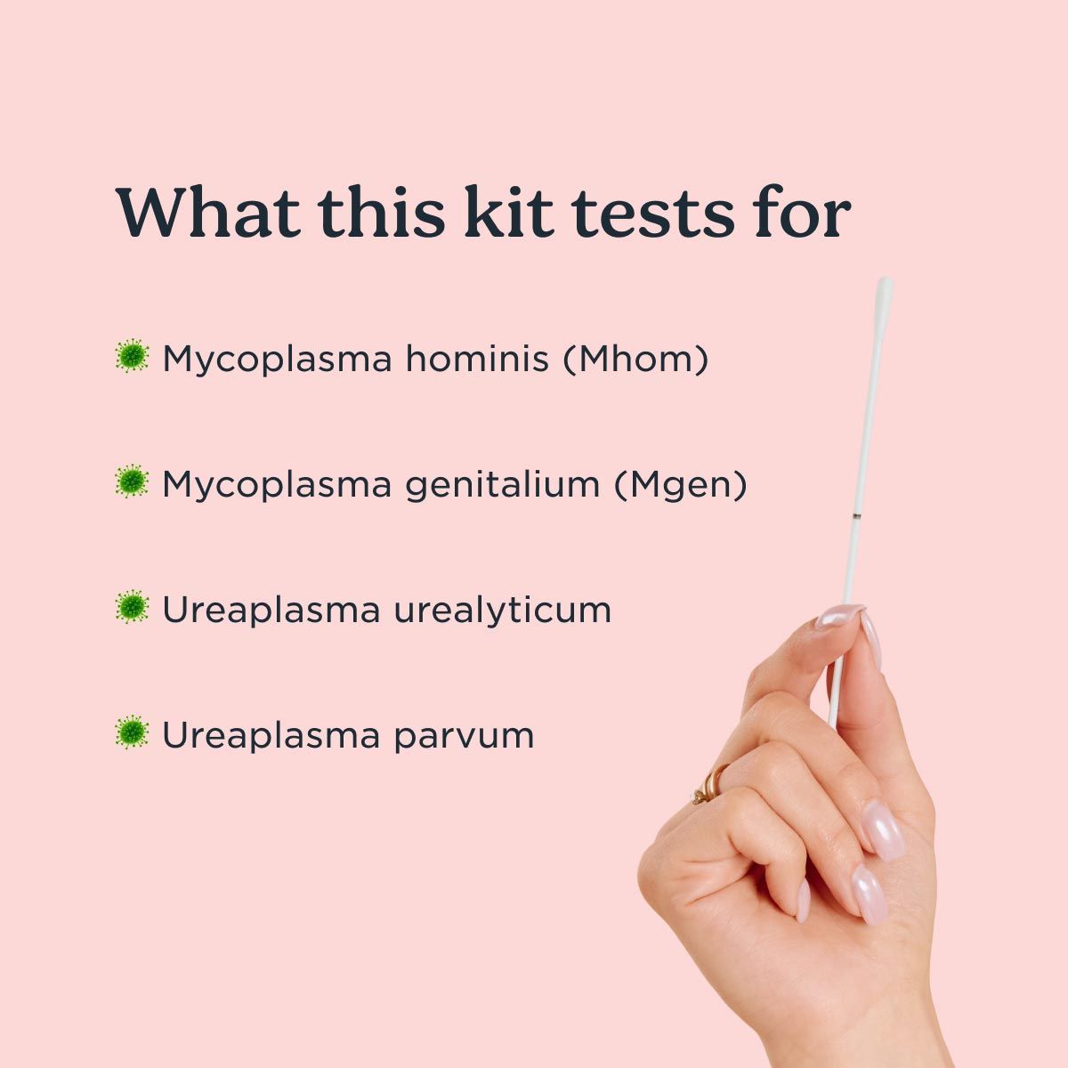 A woman's hand holding a testing swab with callouts regarding what bacteria is tested in the Mycoplasma and Ureaplasma kit