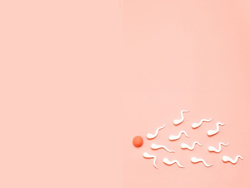 A ball representing a human egg with sperm shapes surrounding it on a light orange background