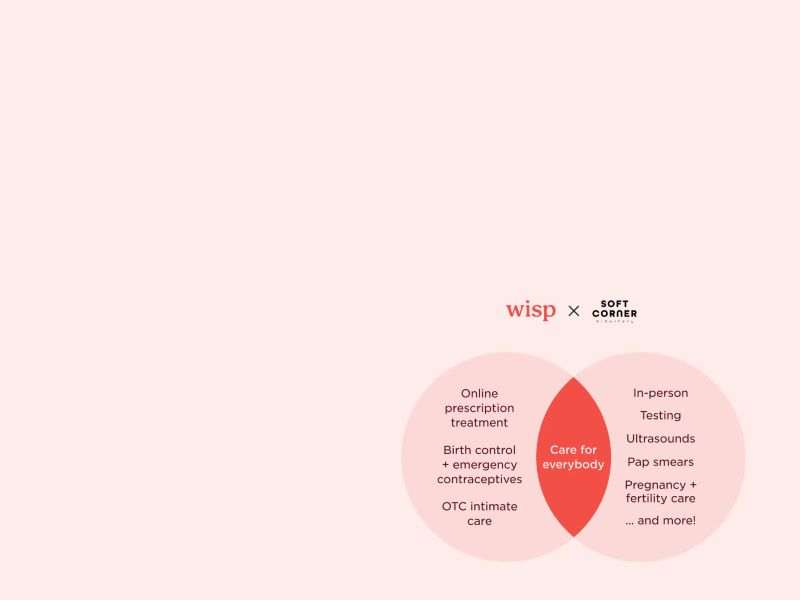 A venn diagram comparing Wisp's services to Soft Corner Midwifery's services and in the middle indicating a well-rounded healthcare experience