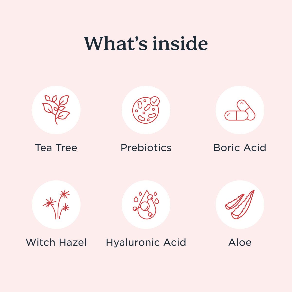 A graphic showing icons of 6 ingredients in the pH Balancing Wipes