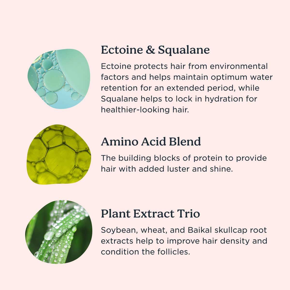 Ingredients in The Crown Pleaser by Stripes Beauty are highlighted with explanations of their benefits