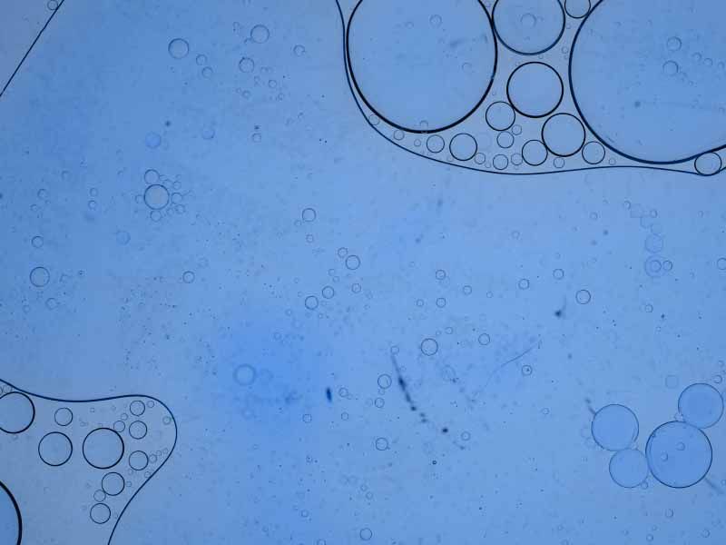 Oil and water bubbles of varying sizes on a light blue background