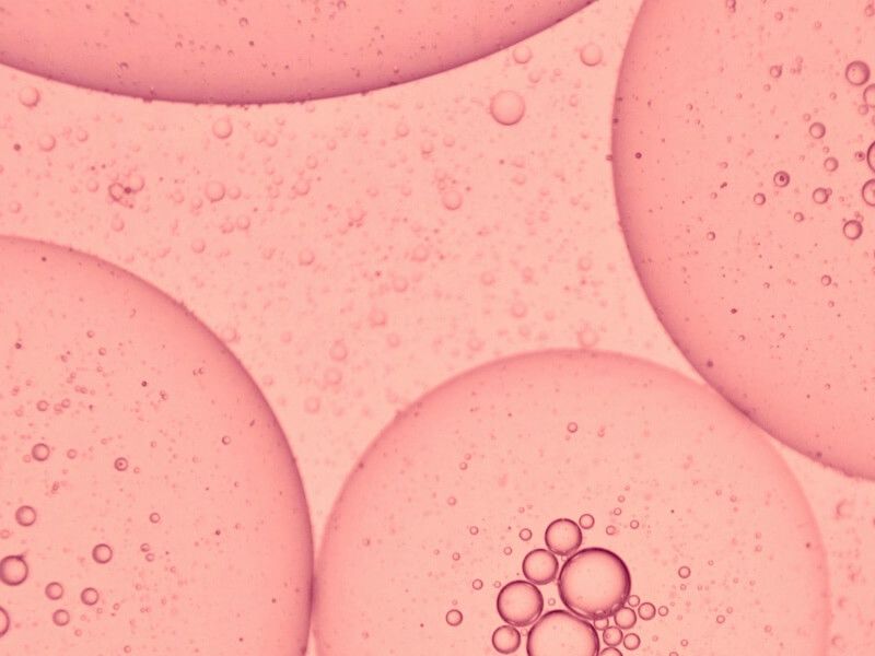 pink bubbles representing a sample through a microscope