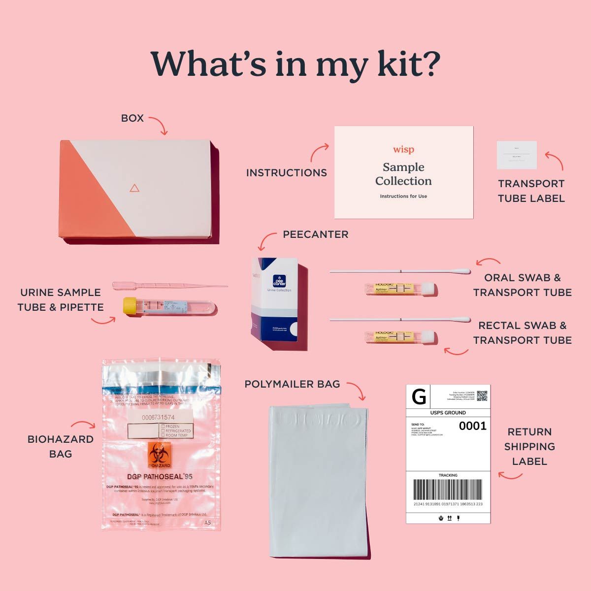 a diagram showing every item in the Wisp at-home urine and swab testing kits