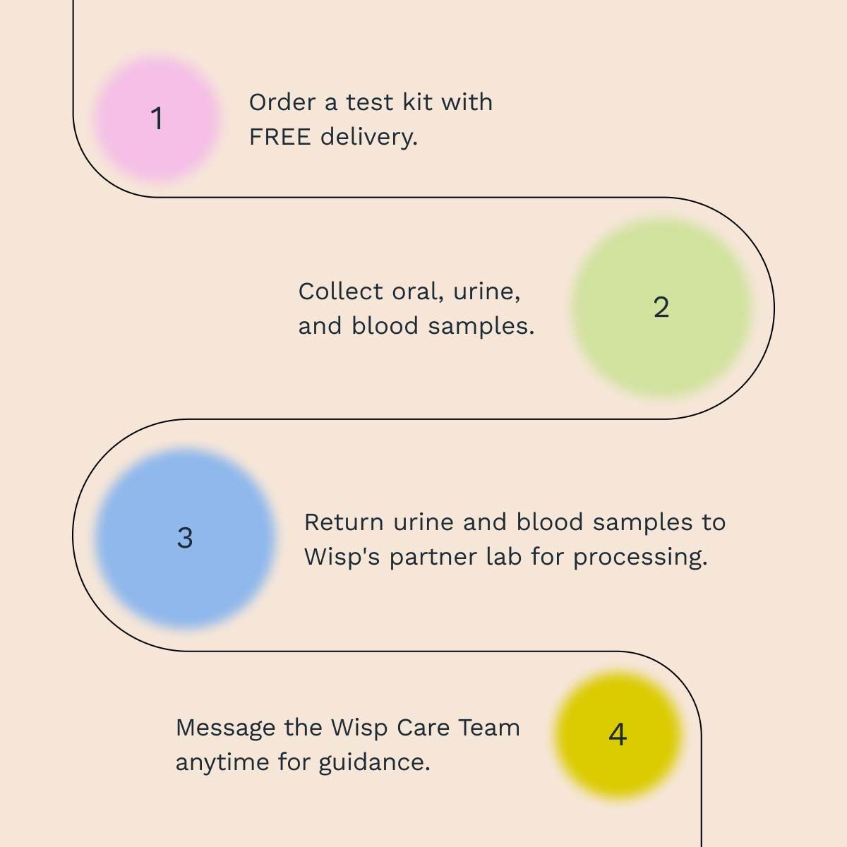 A designed 4 step chart explaining how Wisp's diagnostic testing works